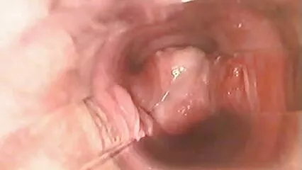 Ragazzo fortunato. vecchie porche video