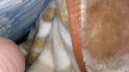 Ho trovato un filmato della rossa Vanna Bardot vecchie porche inculate trascinata da una guardia di sicurezza