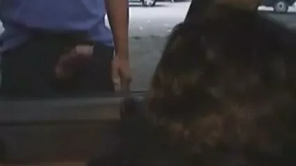 Bella video di nonne porche ragazza Andrea.