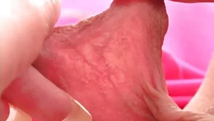 Impressionante fustigazione delle dighe dai capelli scuri Veronica vecchie puttane italiane e Lela.