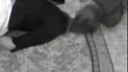 Masha ha invitato Sasha vecchie porche video a visitare e si è lasciata scopare nell'ano.